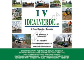 IDEALVERDE
