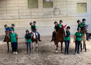 AGRICOLA LE COLLINE DEI FRATELLI SALVI