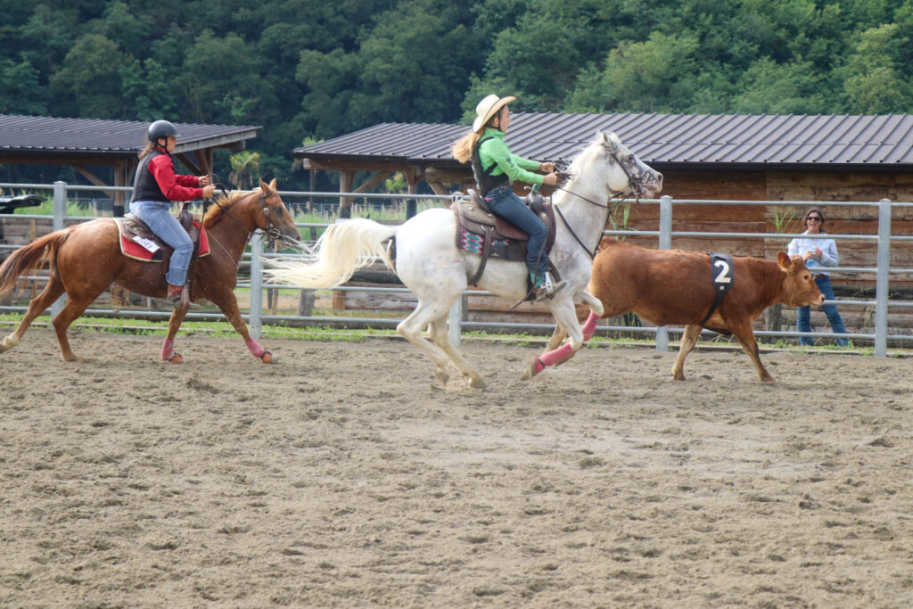 Spettacolari gare con mandrie e binomi cavallo-cavaliere dallo stile americano.