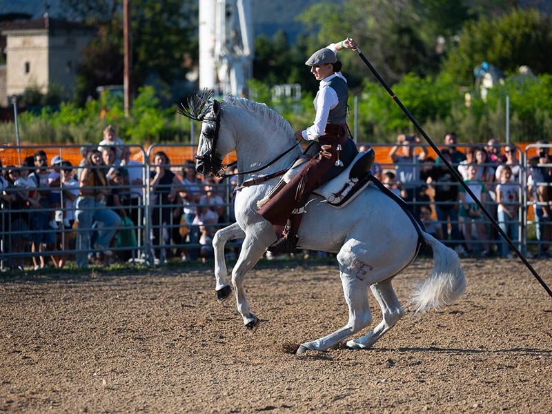 Grande Spettacolo equestre