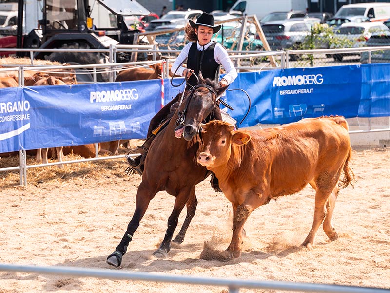 Western Show